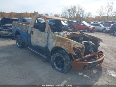 FORD F-150 2009
