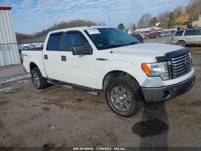 FORD F-150 2010