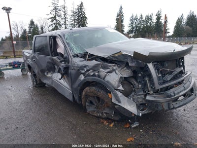 FORD F-150 2013