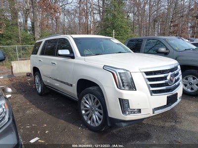 CADILLAC ESCALADE 2015