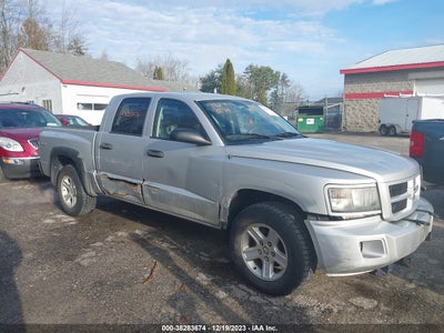Ram Dakota 2011