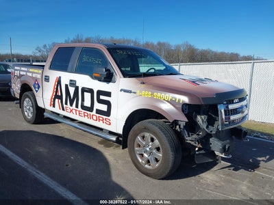 FORD F-150 2014