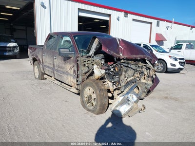 FORD F-150 2010