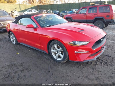 FORD MUSTANG 2019