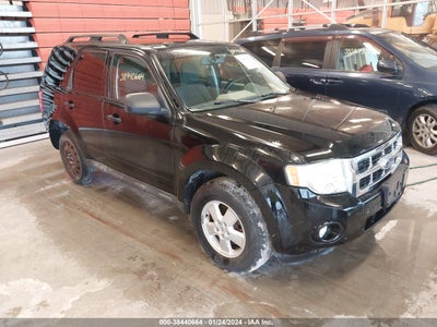 Ford Escape 2009