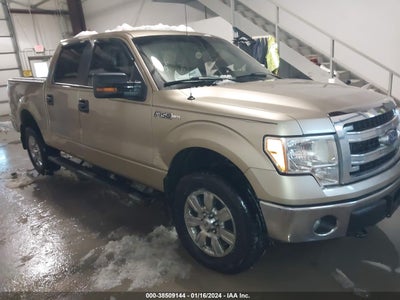Ford F-150 2014