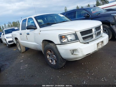Ram Dakota 2011