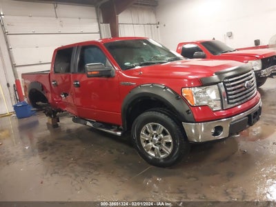 Ford F-150 2011
