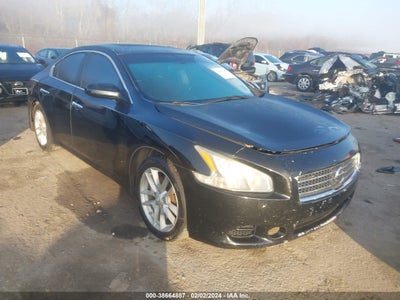 Nissan Maxima 2011
