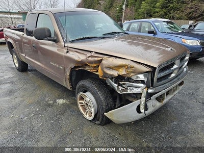 DODGE DAKOTA 2000
