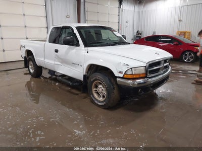 DODGE DAKOTA 2000