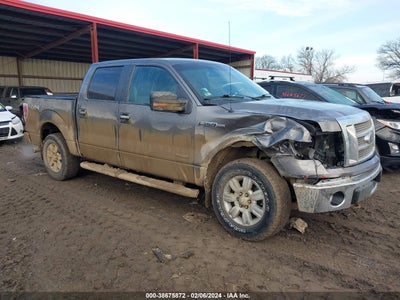 Ford F-150 2011