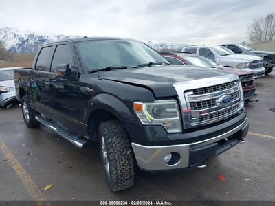FORD F-150 2014