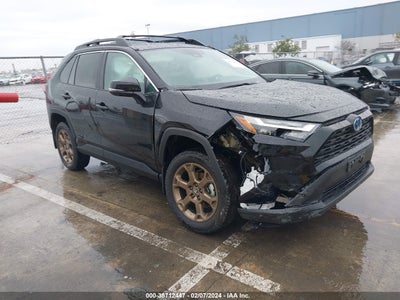 Toyota Rav4 2024
