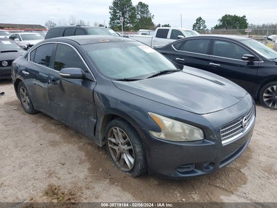 Nissan Maxima 2010