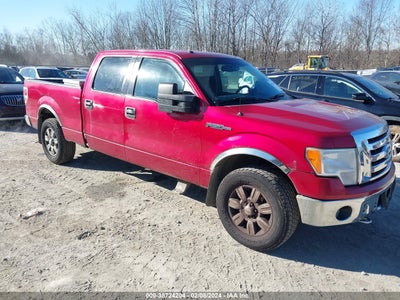 Ford F-150 2009