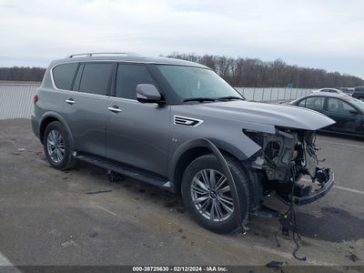 INFINITI QX80 2019
