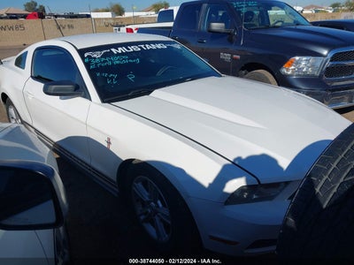 Ford Mustang 2010