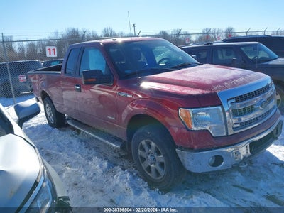 FORD F-150 2014