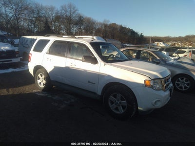 Ford Escape 2010