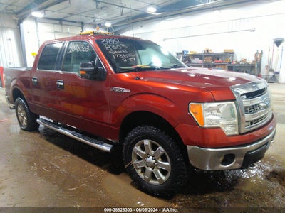 FORD F-150 2014