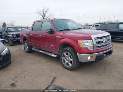 FORD F-150 2013