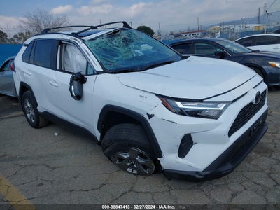 TOYOTA RAV4 2024