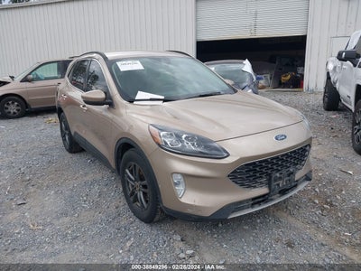 Ford Escape 2020