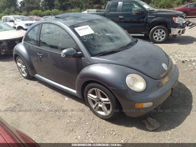 Volkswagen Beetle 2004