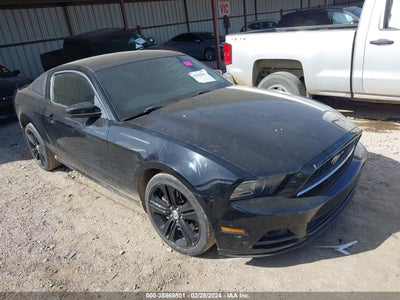 Ford Mustang 2013