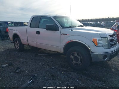 FORD F-150 2014
