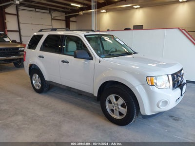 FORD ESCAPE 2010