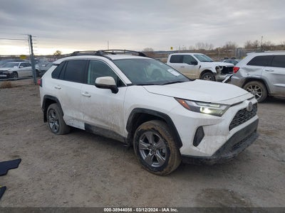 TOYOTA RAV4 2024