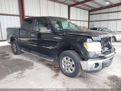 FORD F-150 2014