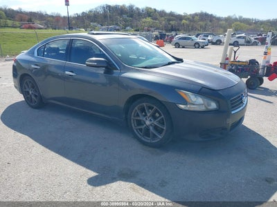 Nissan Maxima 2011