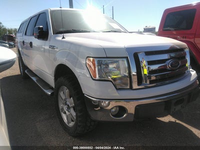Ford F-150 2010