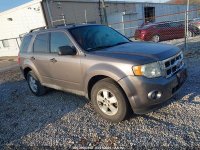 Ford Escape 2011