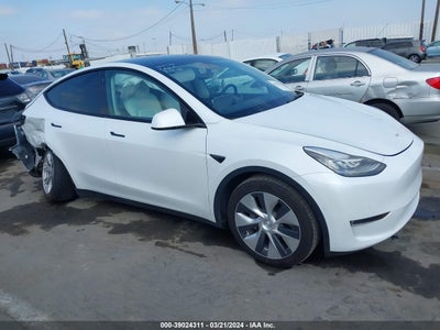 TESLA MODEL Y 2021