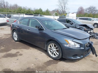 NISSAN MAXIMA 2010