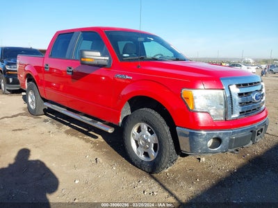 FORD F-150 2010