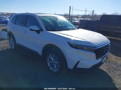 HONDA CR-V 2024