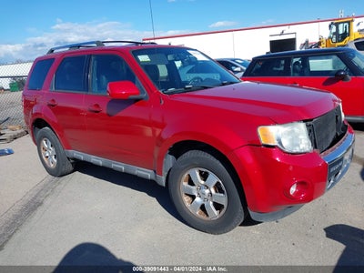 FORD ESCAPE 2010