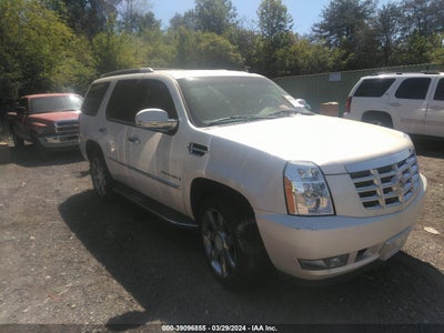 Cadillac Escalade 2008