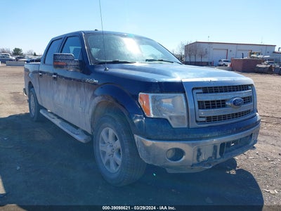 FORD F-150 2014