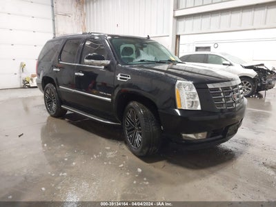CADILLAC ESCALADE 2014