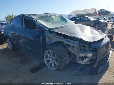 TESLA MODEL Y 2024