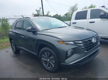 Hyundai Tucson Hybrid 2024