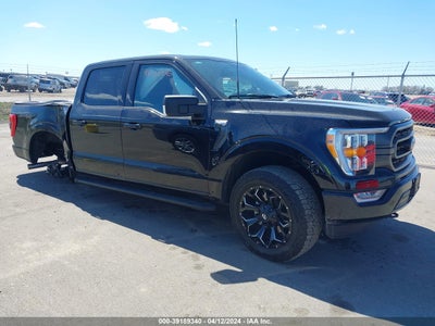 FORD F-150 2023