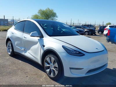 TESLA MODEL Y 2021