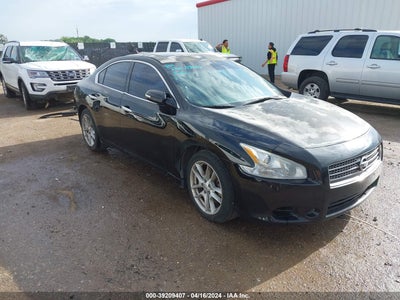 NISSAN MAXIMA 2010
